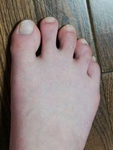 るぅのおいしいうちごはん