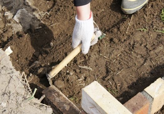 るぅのおいしいうちごはん