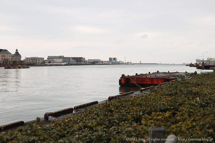 IMG_3723-1