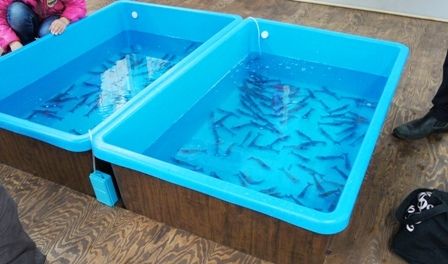 るぅのおいしいうちごはん
