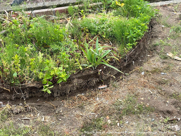 IMG_8171 のコピー