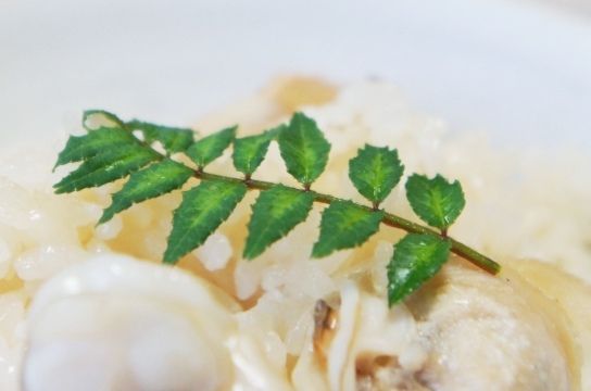 るぅのおいしいうちごはん