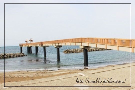 るぅのおいしいうちごはん