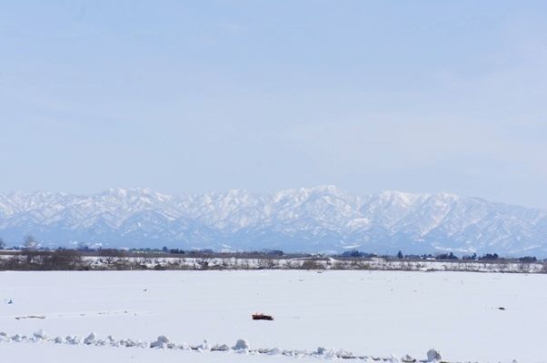 るぅのおいしいうちごはん
