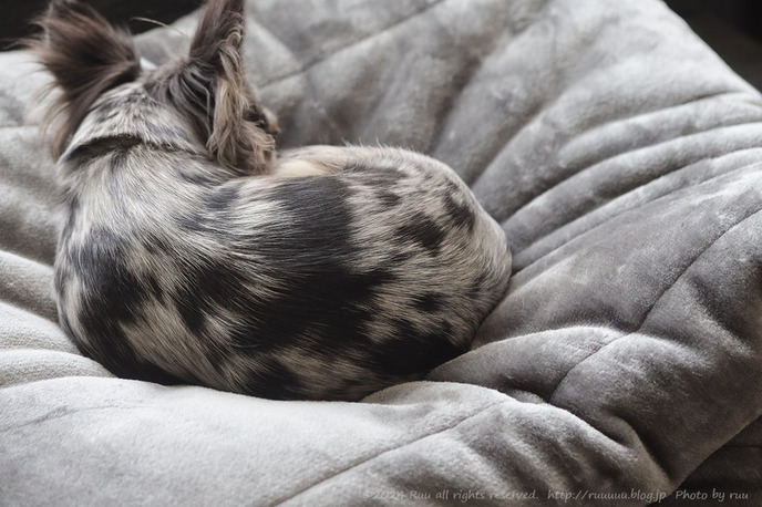 0B8A5134 のコピー