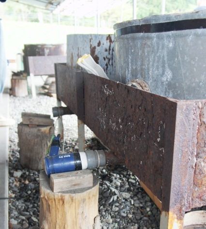 るぅのおいしいうちごはん