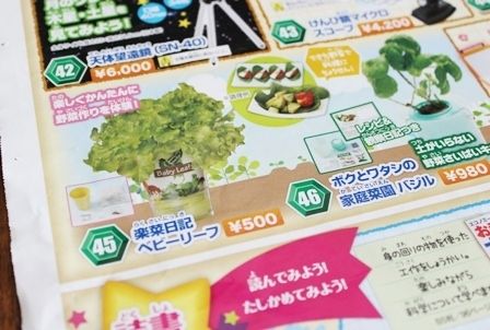 るぅのおいしいうちごはん