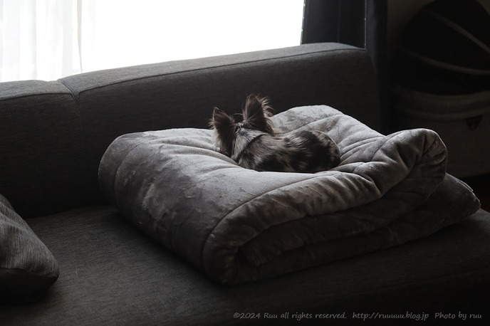 0B8A5130 のコピー