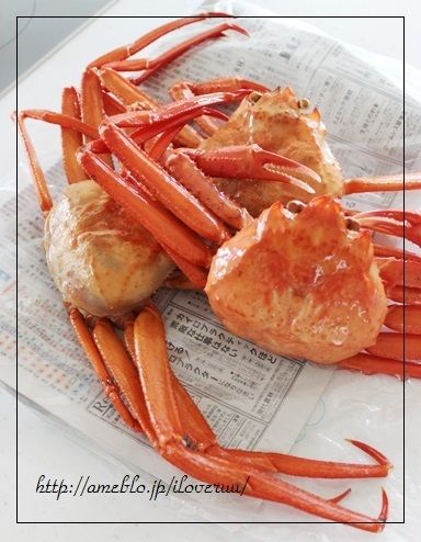 るぅのおいしいうちごはん