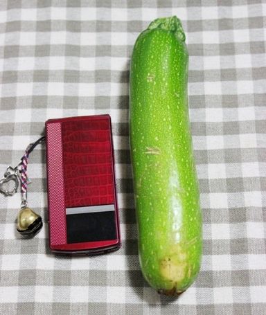 るぅのおいしいうちごはん