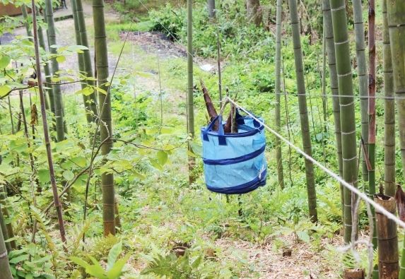 るぅのおいしいうちごはん