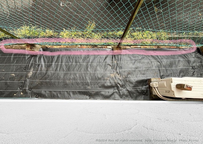 IMG_8179 のコピー2