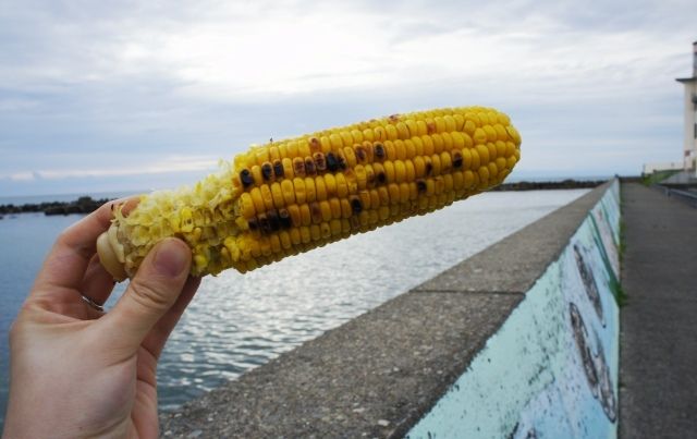 るぅのおいしいうちごはん