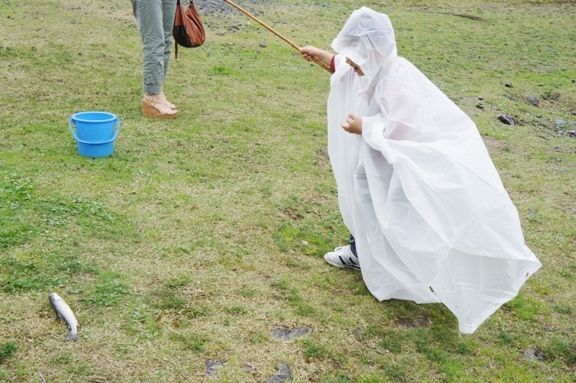 るぅのおいしいうちごはん