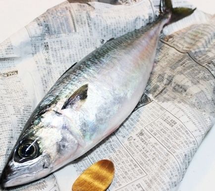 るぅのおいしいうちごはん