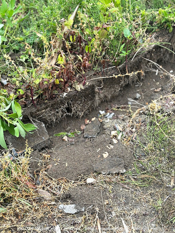 IMG_8174 のコピー