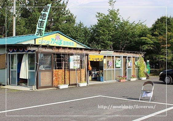 るぅのおいしいうちごはん