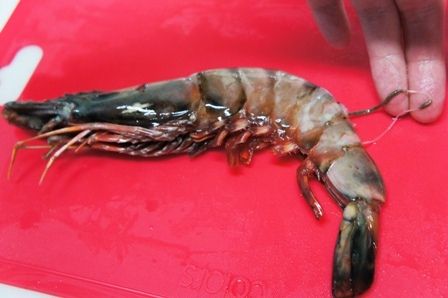 るぅのおいしいうちごはん