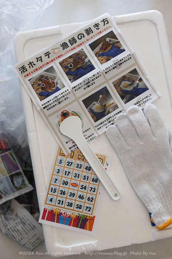 0B8A1042 のコピー