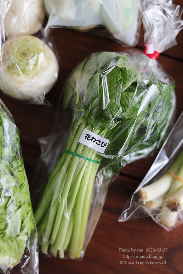 0B8A2964 のコピー