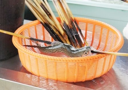 るぅのおいしいうちごはん