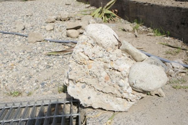 るぅのおいしいうちごはん