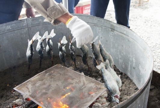 るぅのおいしいうちごはん