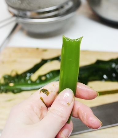 るぅのおいしいうちごはん