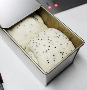 るぅのおいしいうちごはん