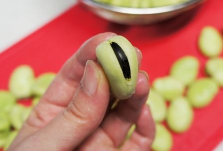 るぅのおいしいうちごはん