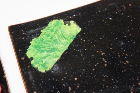 るぅのおいしいうちごはん