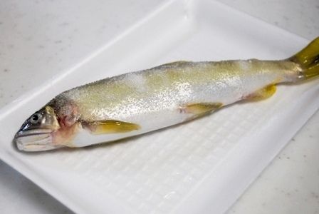 るぅのおいしいうちごはん
