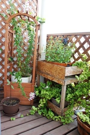 るぅのおいしいうちごはん