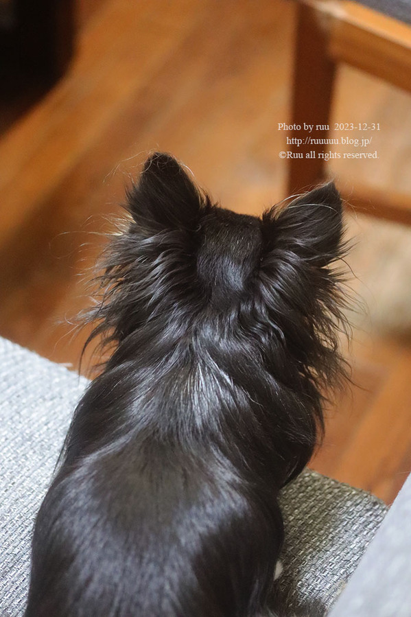 0B8A9714 のコピー