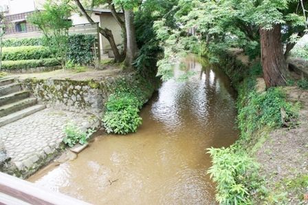 るぅのおいしいうちごはん