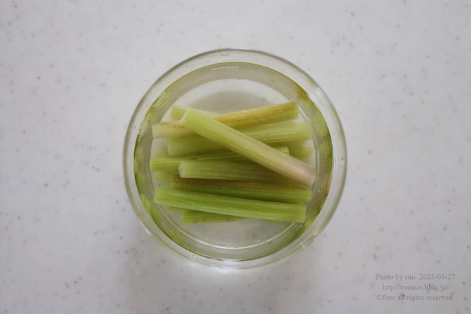 0B8A2973 のコピー