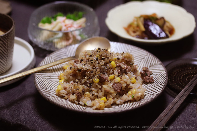 0B8A1620 のコピー