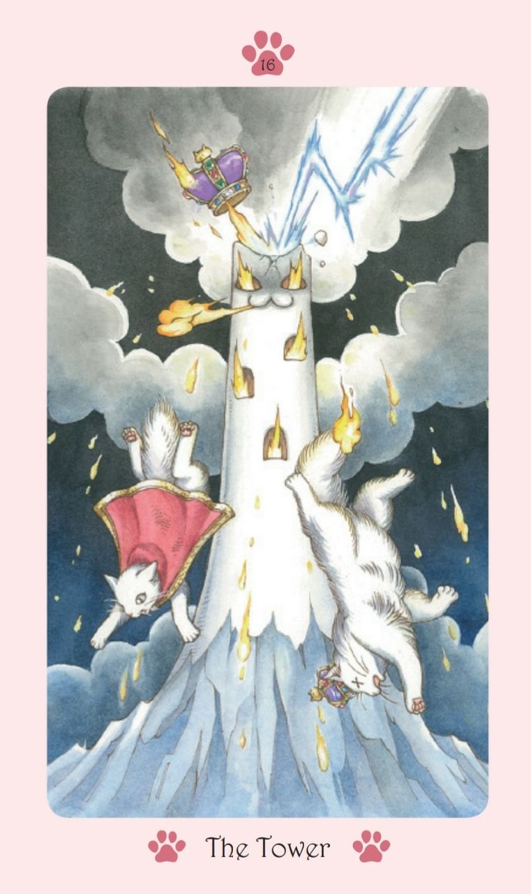 Cat Paw Tarot 2つ タロットカード 猫タロット 国際ブランド