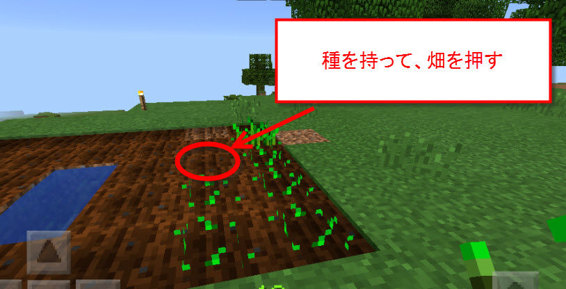 畑をつくる