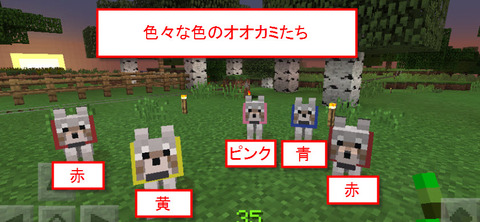 色々な色のオオカミ