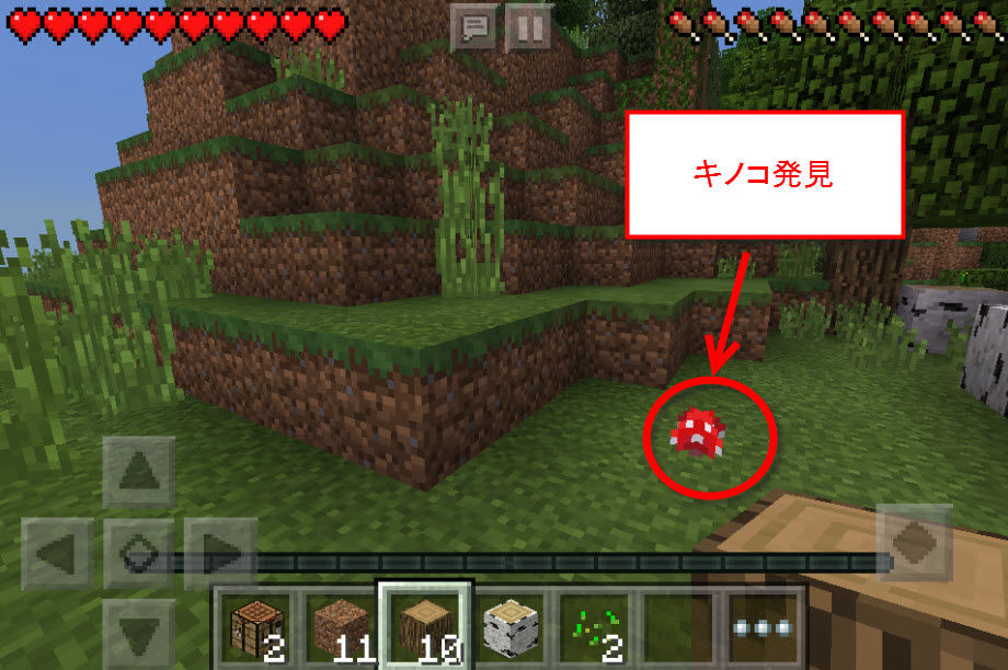 赤色キノコ発見 赤色キノコ発見