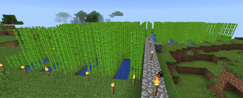 サトウキビ畑をどんどん拡張中