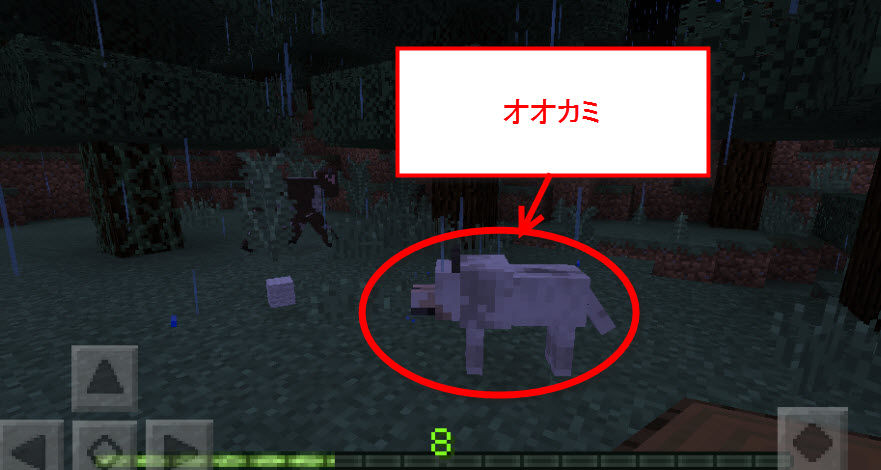 オオカミのエサを手に入れる