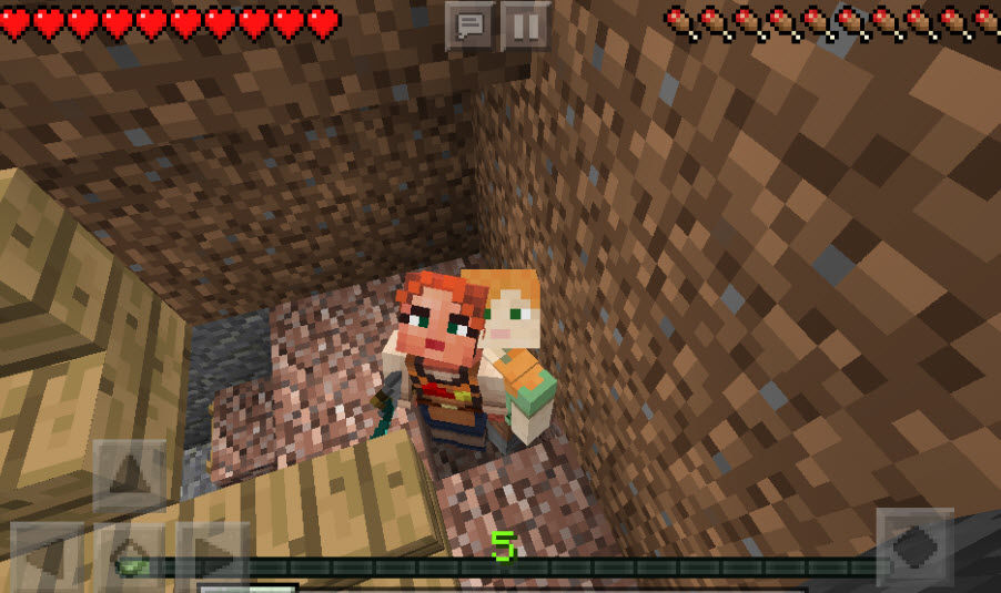 マイクラｐｅ探索へでかけます
