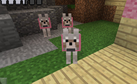 ピンク色のオオカミたち