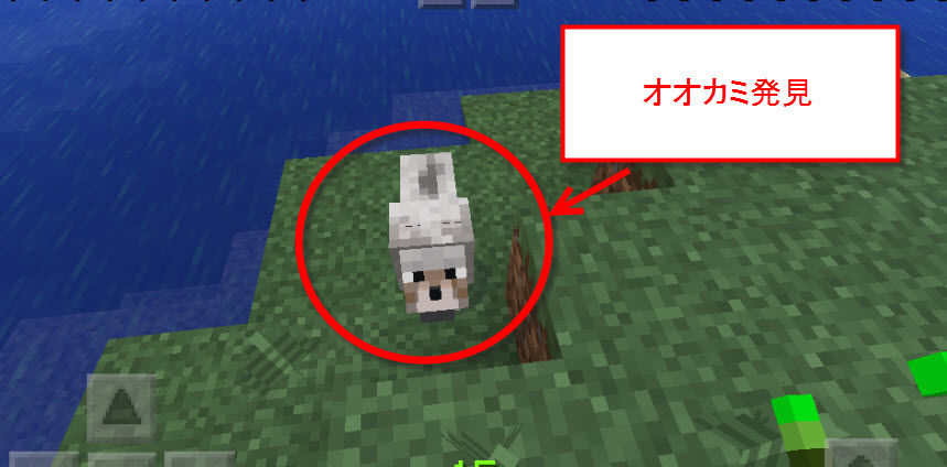 オオカミ見つけた オオカミ見つけた