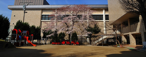 seitokudaigakufuzoku1