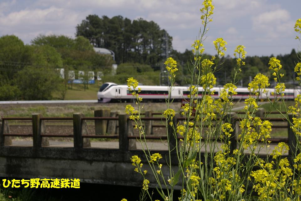 イメージ 4