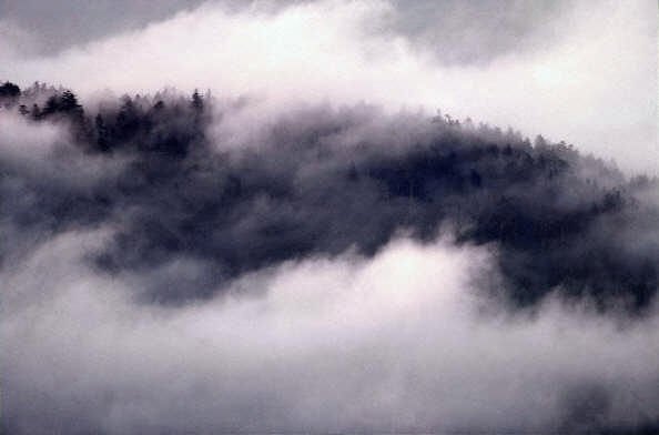 ̸�����⸶��JPG