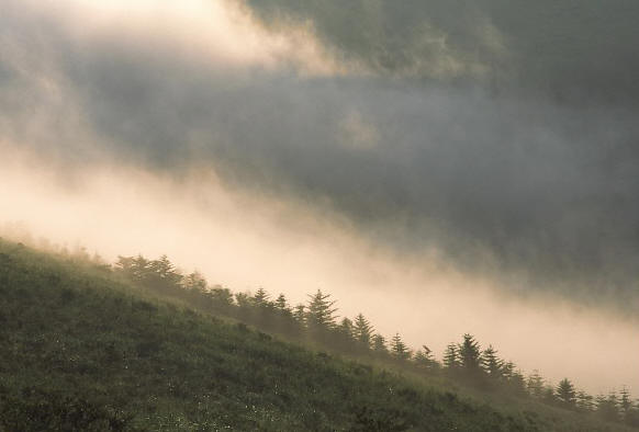 ̸�����⸶��